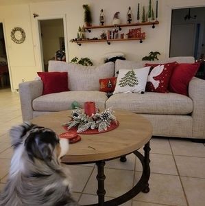 Meet your Posher, Nancy